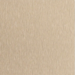 NT001 Bronze Brushed_副本